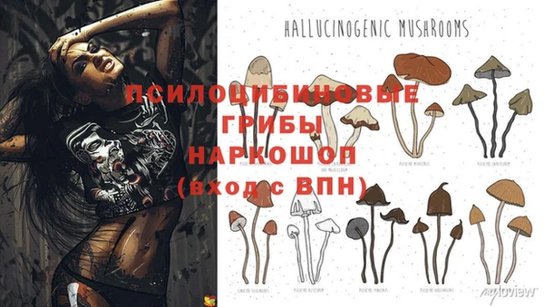 MDMA Premium VHQ Заволжск